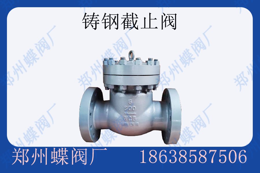 <strong>鑄鋼止回閥在電力行業(yè)的應用(圖文)</strong>