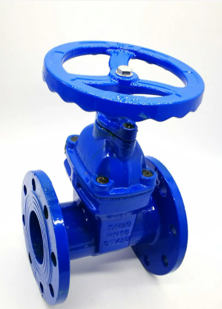 給大家講一下什么是彈性座封閘閥?